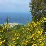 The view from Monte Epomeo on Ischia Island
