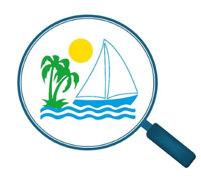 Web search logo 3