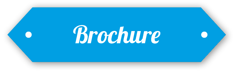 Brochure Button