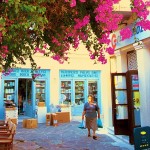 Flowers in Poros