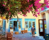 Flowers in Poros