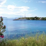 Kastus Bay with flowers