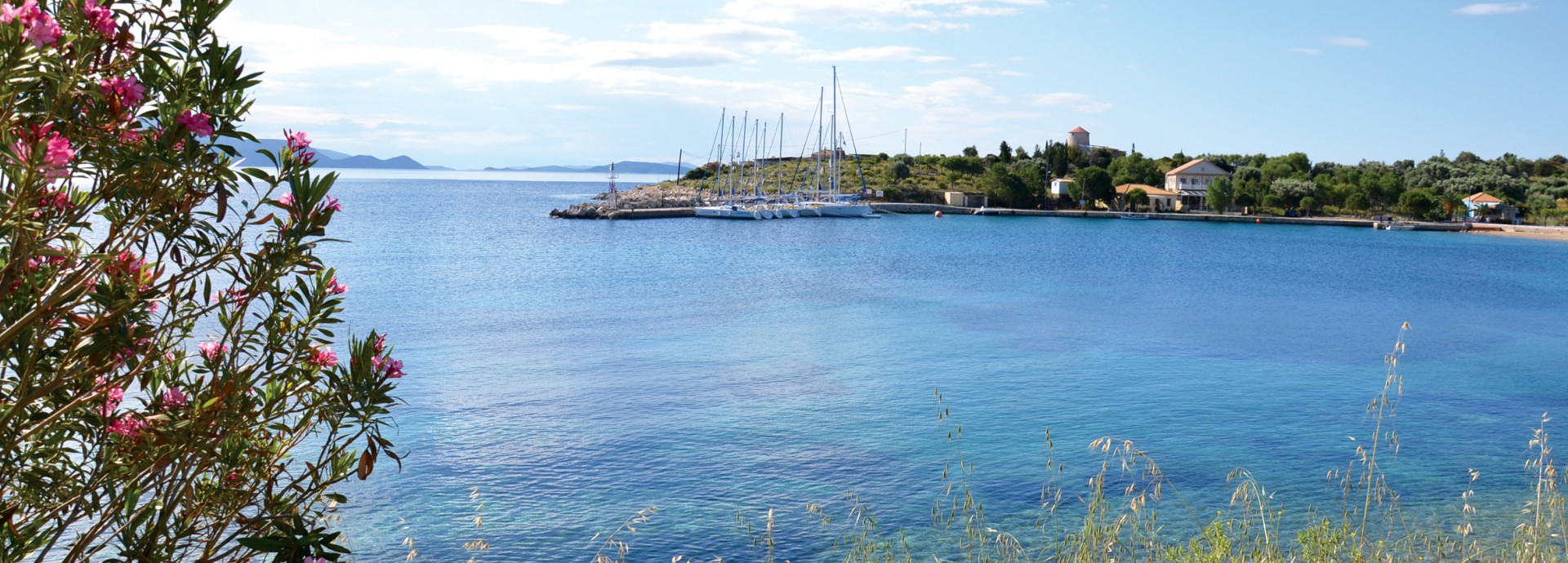 Kastus Bay with flowers