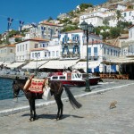 Donkey in Hydra, Saronic Islands