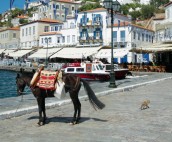 Donkey in Hydra, Saronic Islands