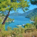 Anchored in Kapi Creek