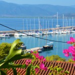 Flotilla and Flowers in Athens