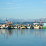 Fishing boats at Petriti