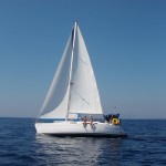 Dufour 36 Sailing