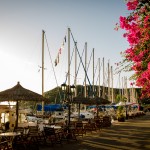 Sivota, Lefkas flowers